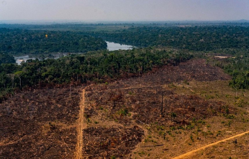 [Fim do desmatamento ilegal é uma necessidade imediata, diz presidente da Klabin]